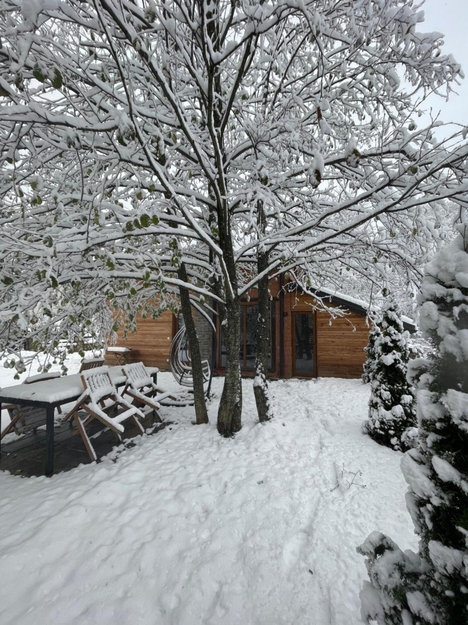 Villa Alpina เบรโซวิตซา ภายนอก รูปภาพ